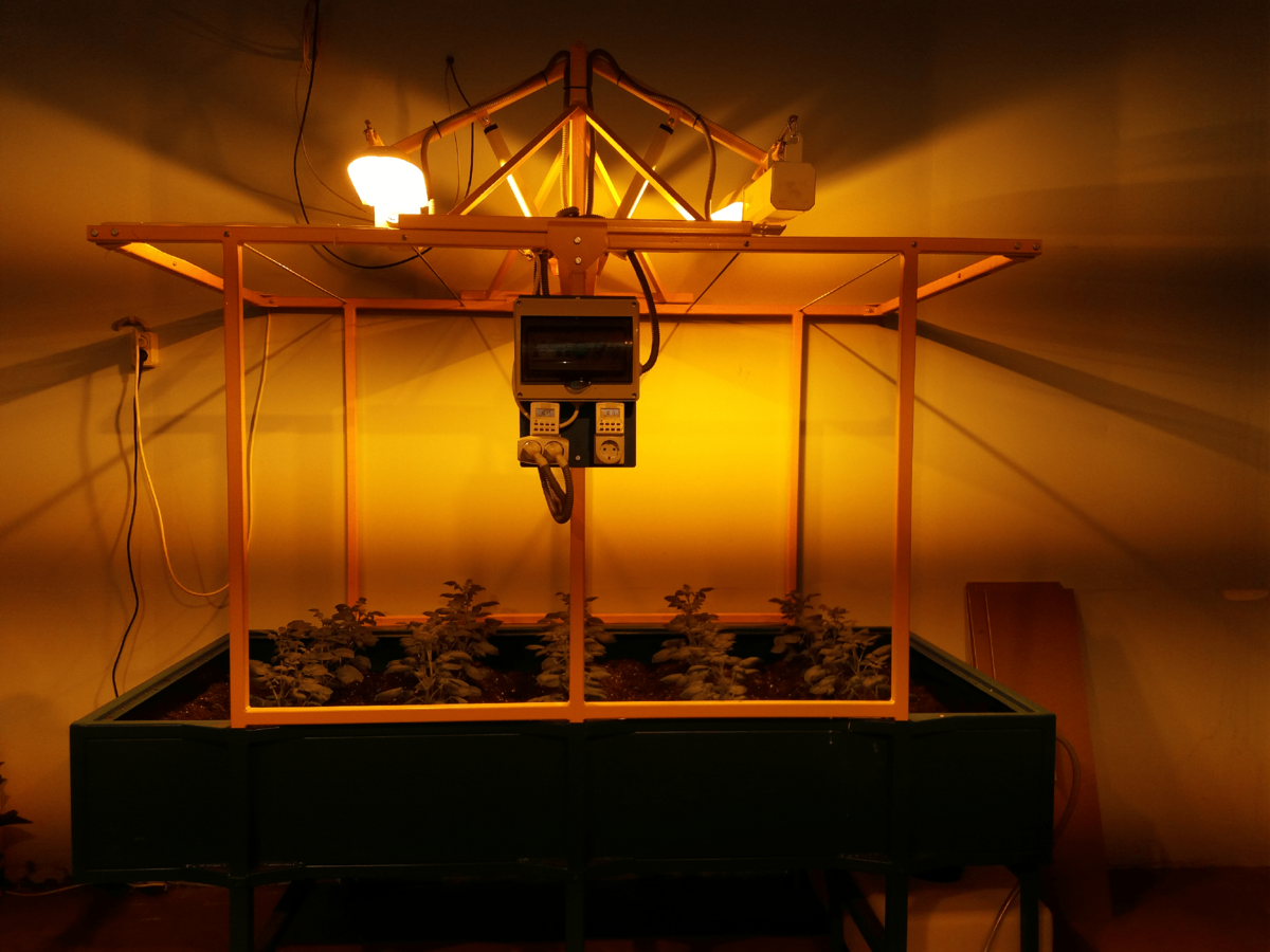 Ученые разработали новые технологии для сельского хозяйства в ...