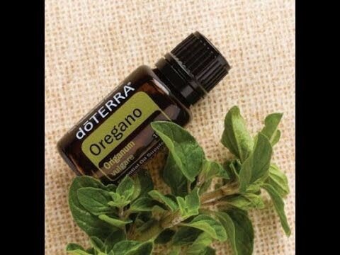 https://pin.it/6DuPDOK (в dō TERRA для производства масла используется Origanum vulgare)