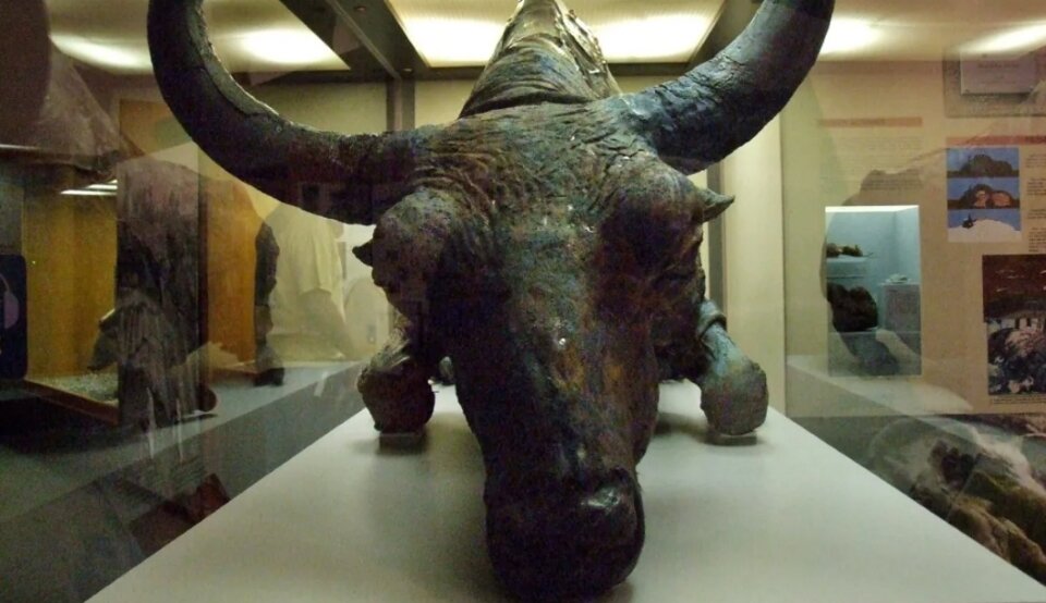 Надкусанный экспонат