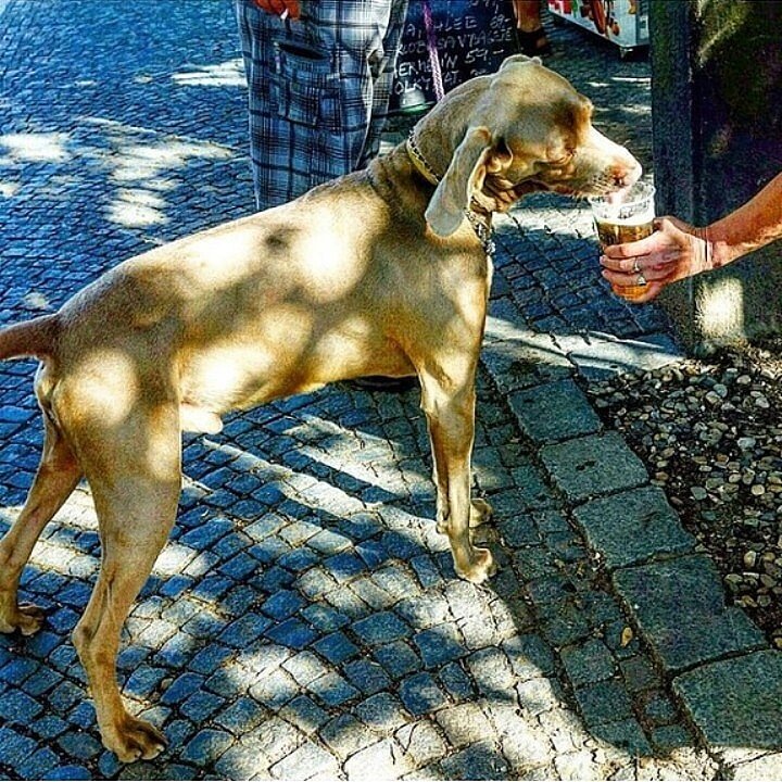 Из личного архива 