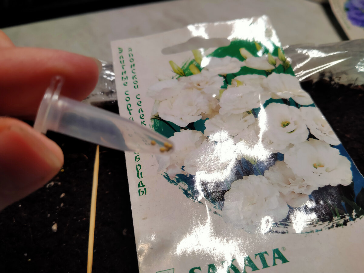 Семена Эустома Эхо белая