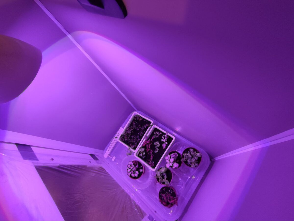 загадочное внутри