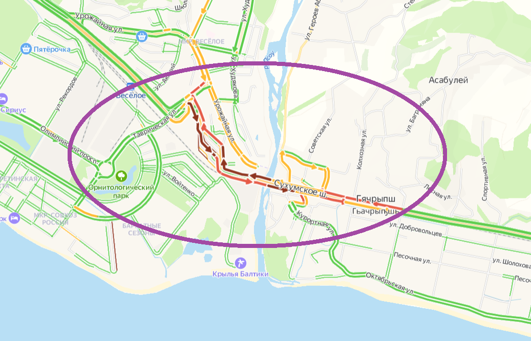 Дорожная обстановка на границе России и Абхазии. Скриншот с яндекс-карт