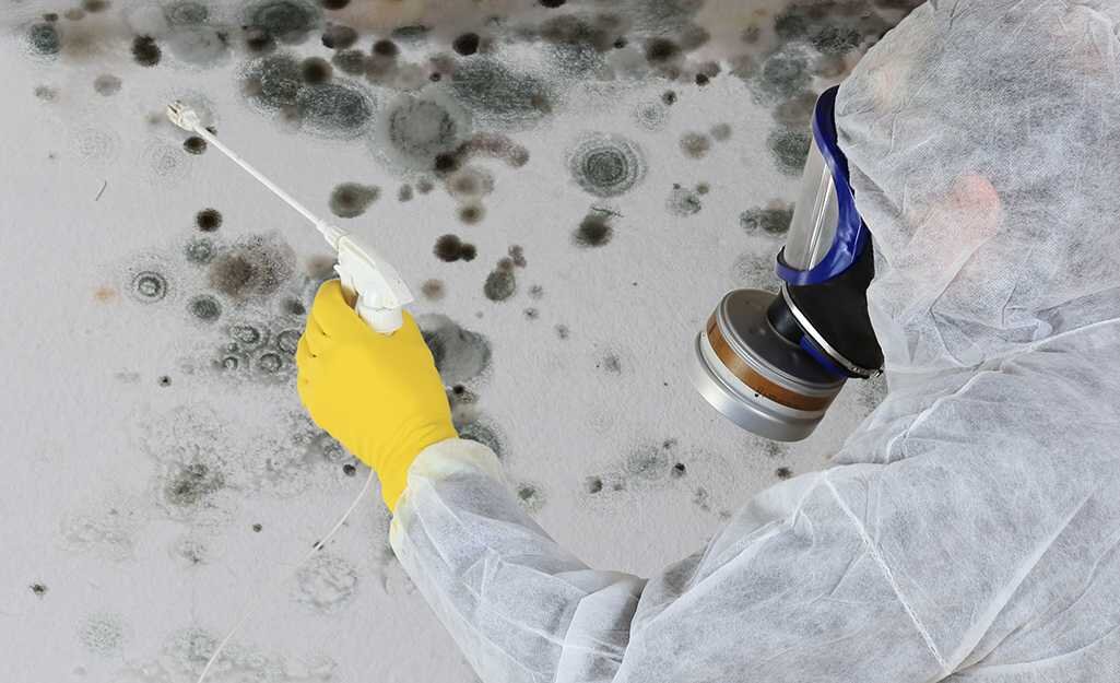 Свяжитесь с нами, чтобы узнать больше о наших услугах и заказать профессиональную дезинфекцию уже сегодня!