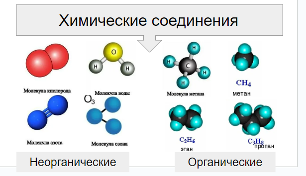 § 2. Химические соединения в живых организмах. Неорганические вещества