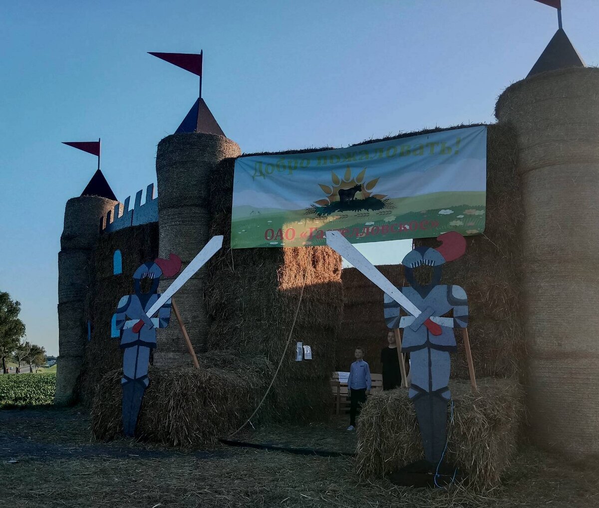 Вот и осень, урожай убрали. Будем праздновать Дожинки | Я не дачник. Я  здесь ЖИВУ! | Дзен