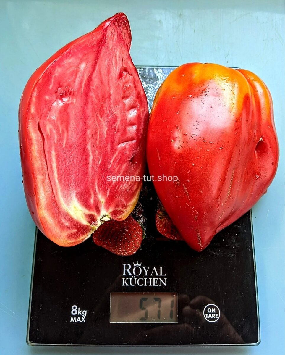 600₽ за три семечка?! Да уж... | ТоматовНа! | Дзен