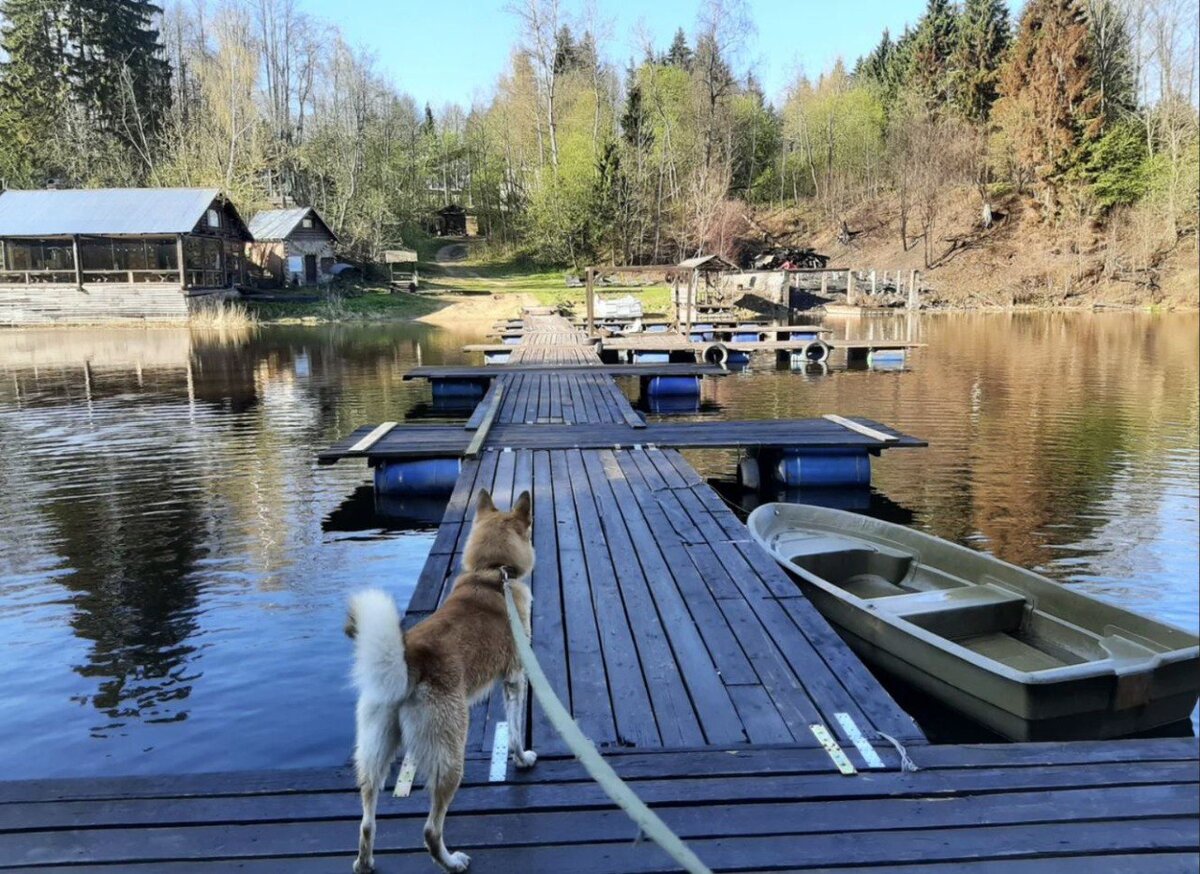 Этно-Усадьба 3*, Трусово, Московская область