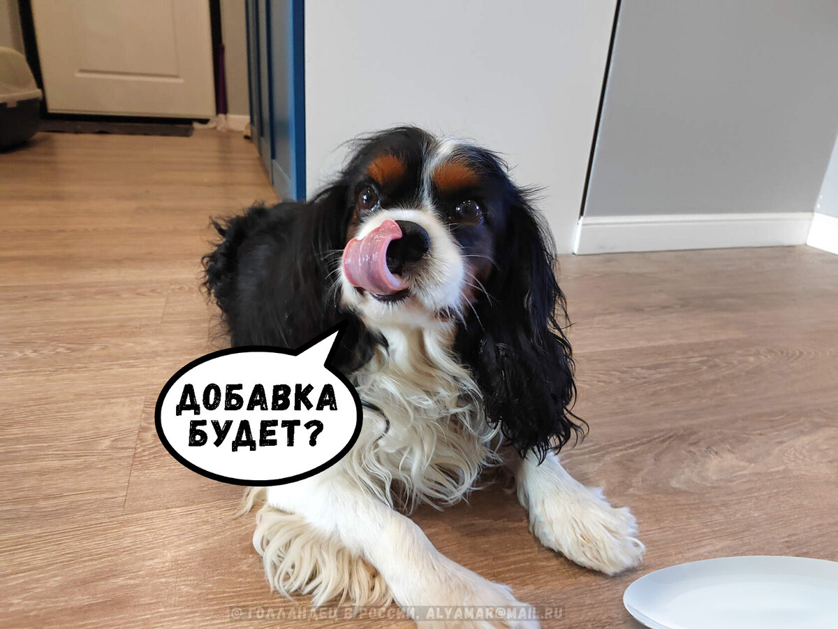 Кто опоздал, тот остался голодный. Юджел не ждёт. Фото: из личного архива