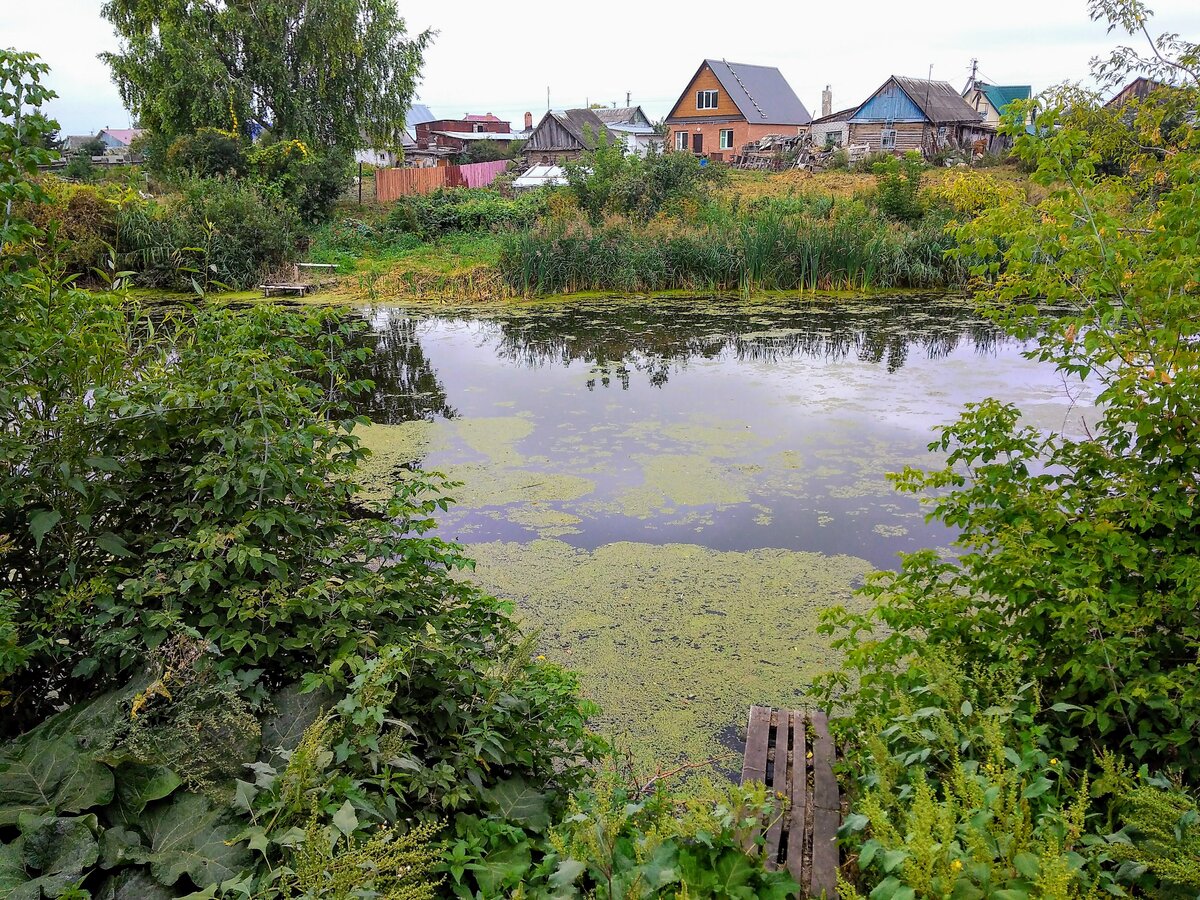 Новая Майна посёлок городского типа в Ульяновской области. Фотографии  красивых мест. | Заметки на полях | Дзен