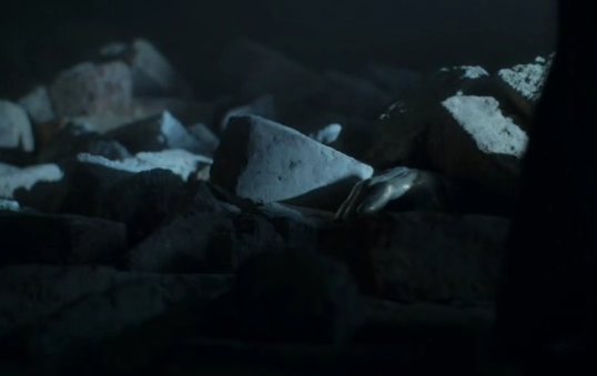 Рука Джейми