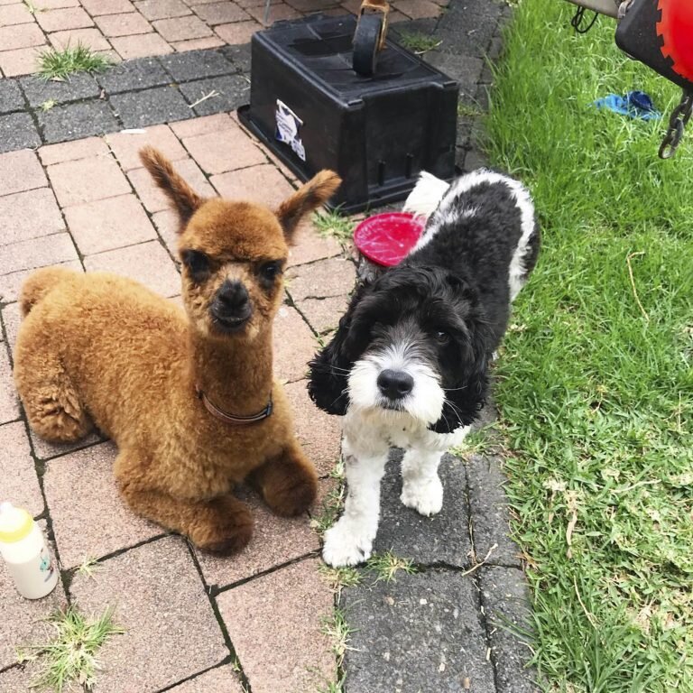 Фото: By Joe McFarlane