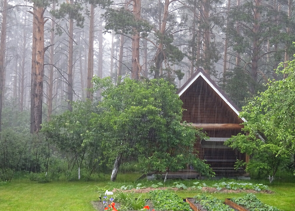 Зона относительной цивилизации. Наш огород из трёх грядок.