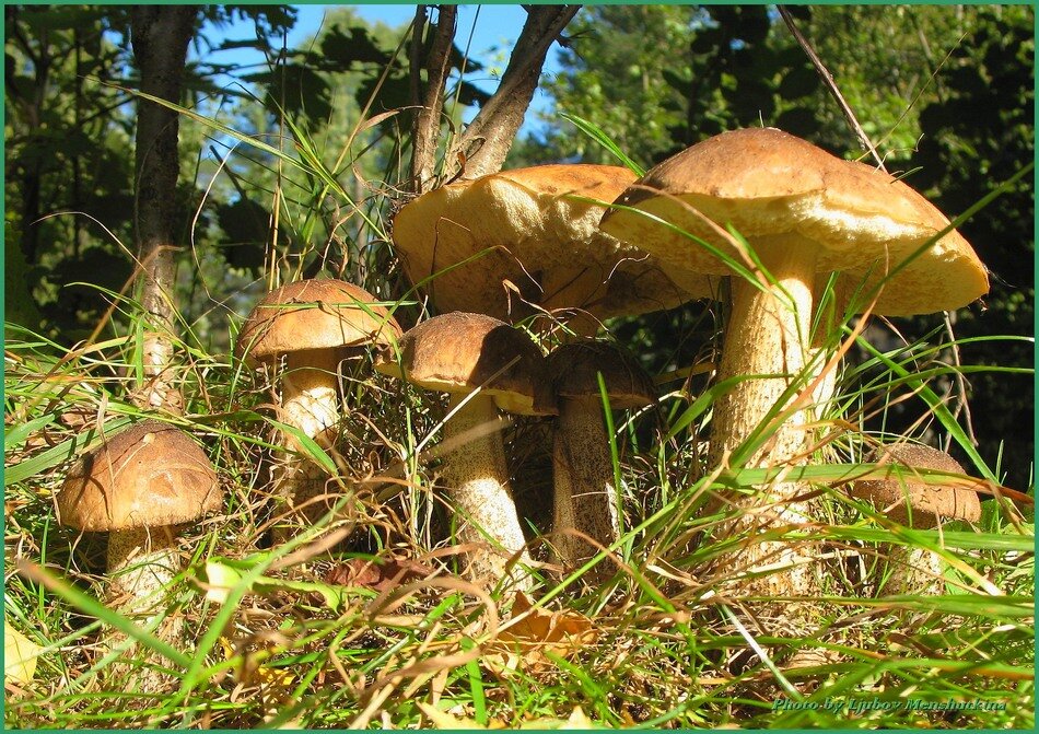 редко, очень редко.)