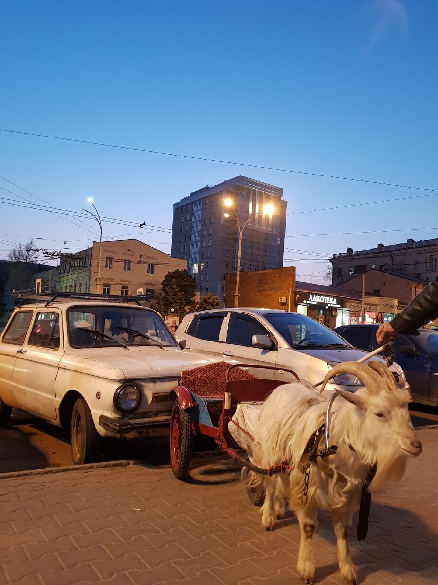 Вот такое чудо встретил в городе Ростов-на-Дону.