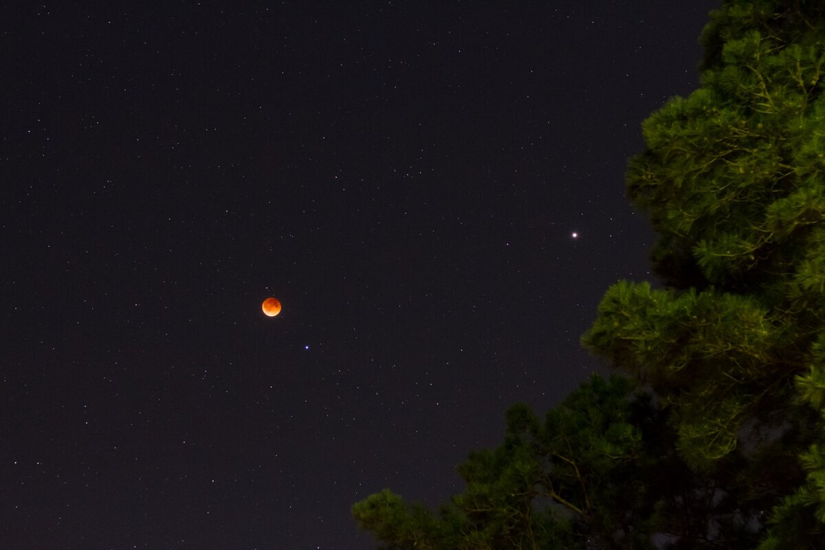 Оригинал: https://clck.ru/H58QH