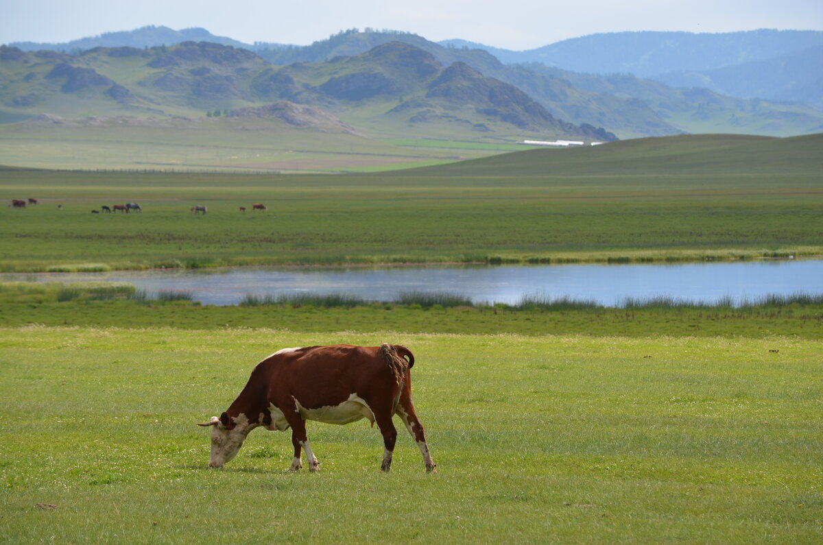 Республика Алтай