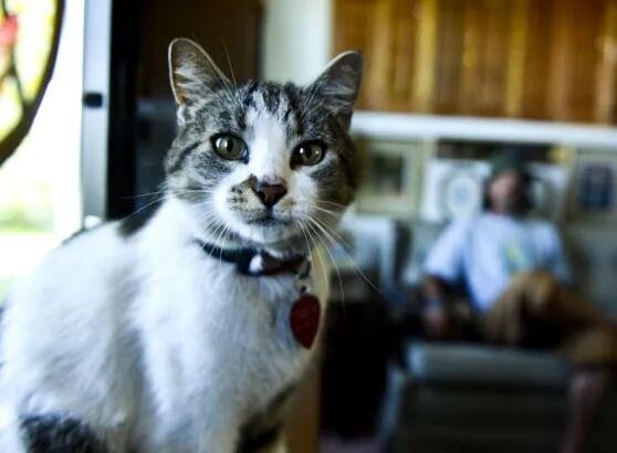 Источник: helenair.com