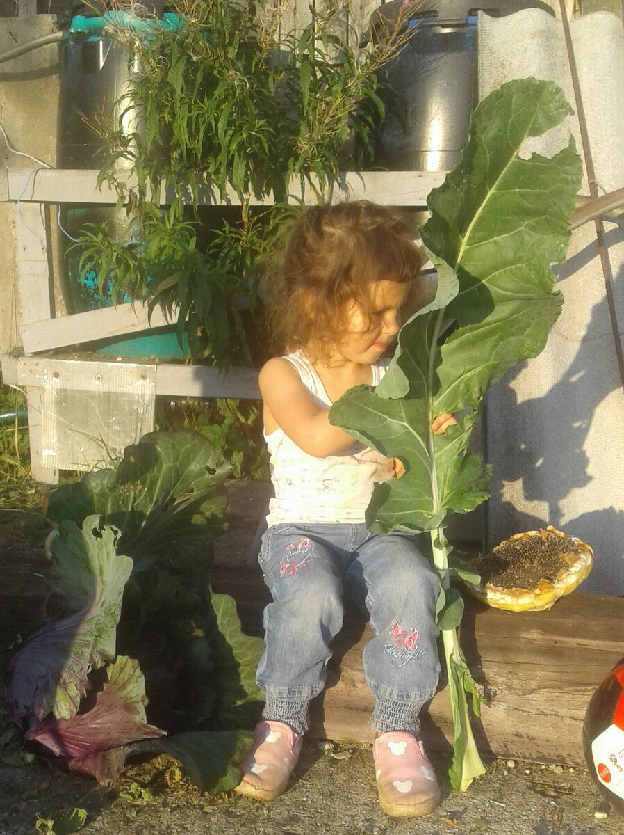 В руках лист от капусты романеско