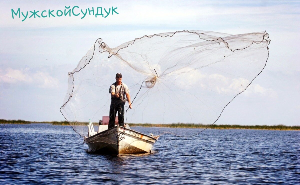 *Жаберные сети*