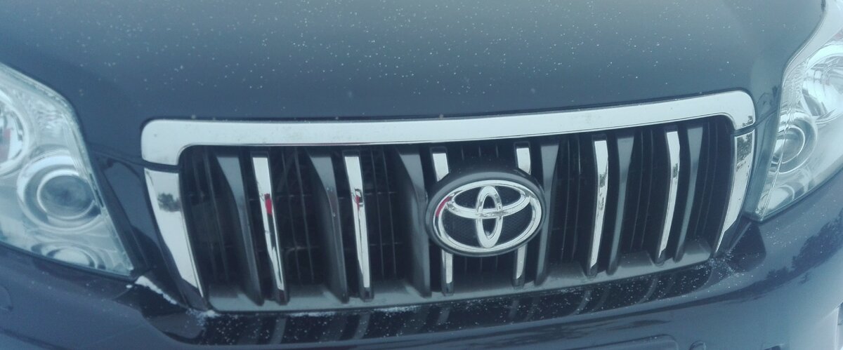 Фото: автора