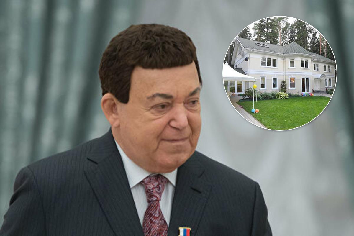Иосиф дом. Дом Кобзона в Баковке. Дача Кобзона. Дом Кобзона в Баковке фото. Имение Кобзона в Баковке