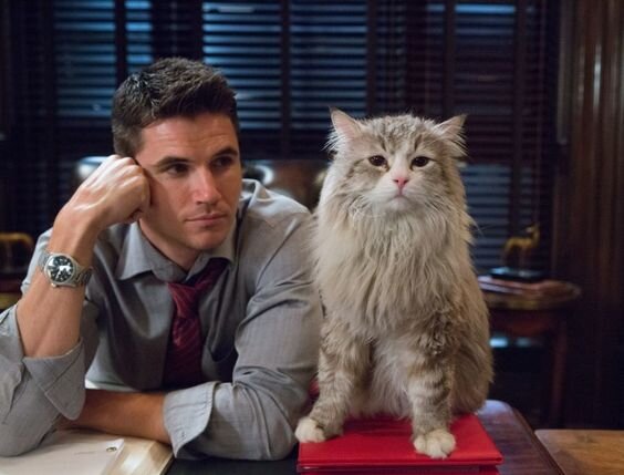 Источник: https://www.pinterest.ru/pin/508906826626689042/?nic=1