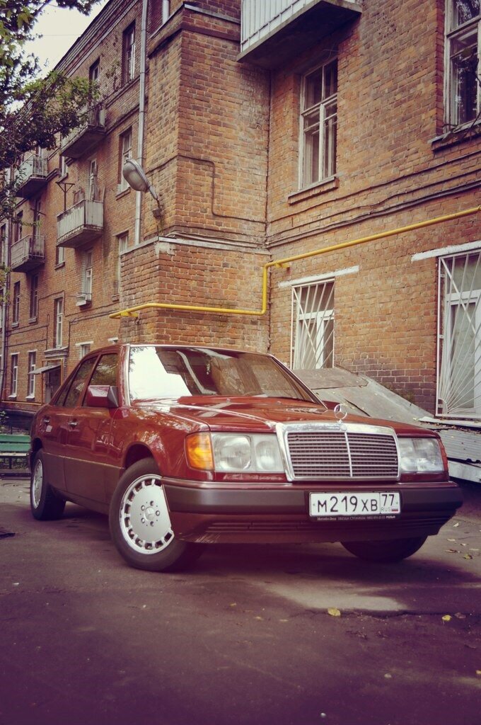 Моя красавица