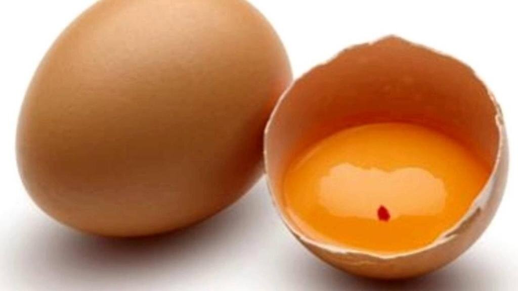Пятна на скорлупе куриных яиц. Золотое яйцо питалось кровью