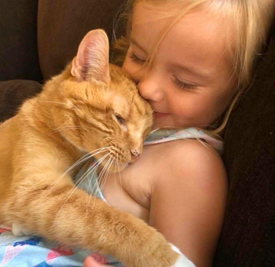 Эбби и Бэйли. Фото из Инстаграм -  @bailey_no_ordinary_cat