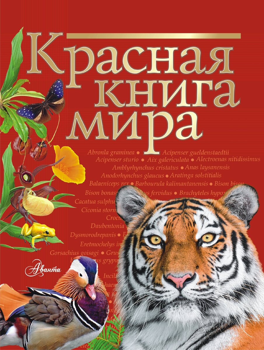 Так выглядит обложка Красной книги.