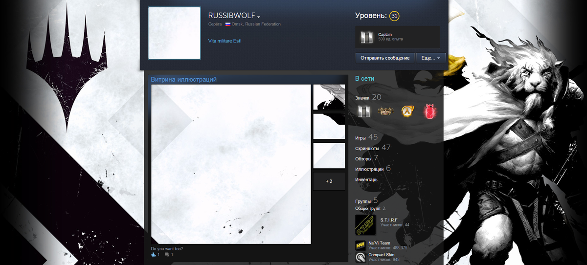Как сделать красивое оформление профиля steam Как оформить свой steam профиль.Часть 1 Нугмед Ишимов Дзен