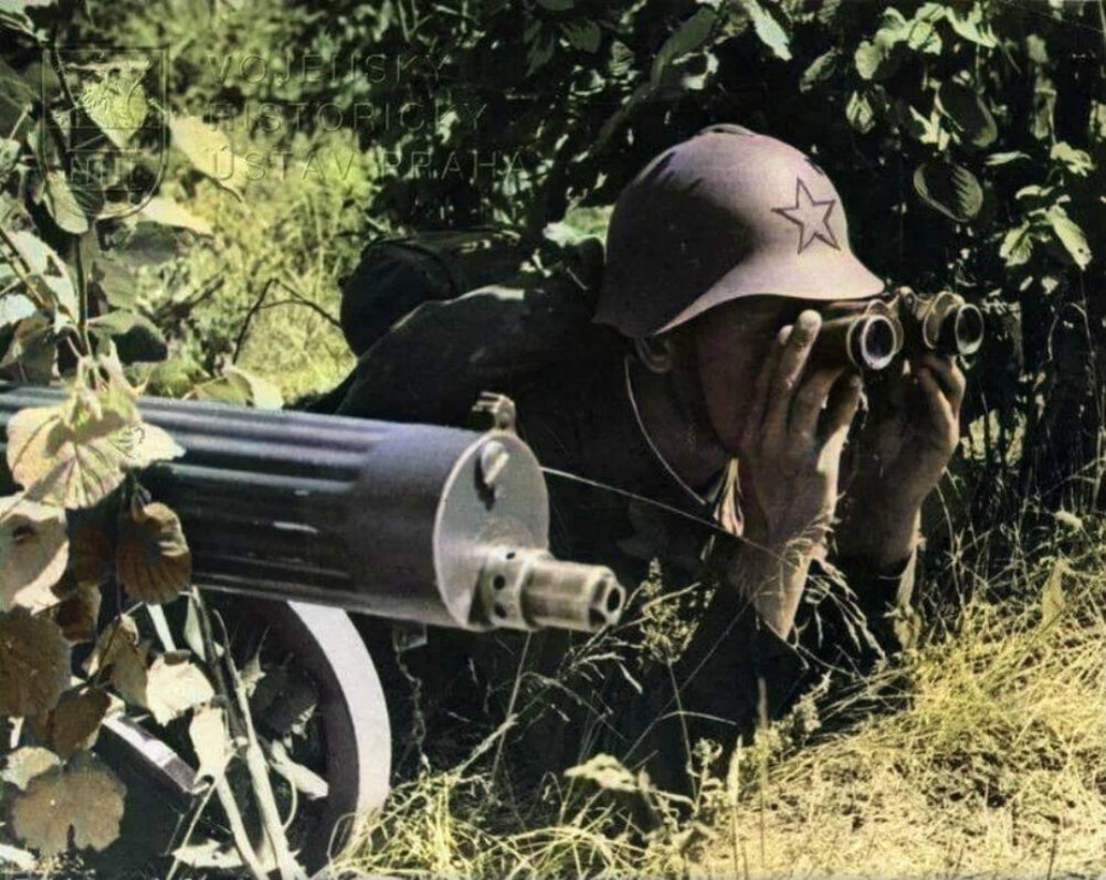 Фото пограничников вов 1941 1945