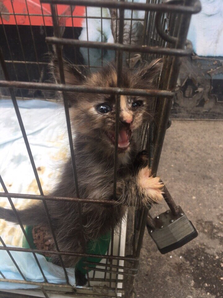 Вот момент нашей первой встречи...