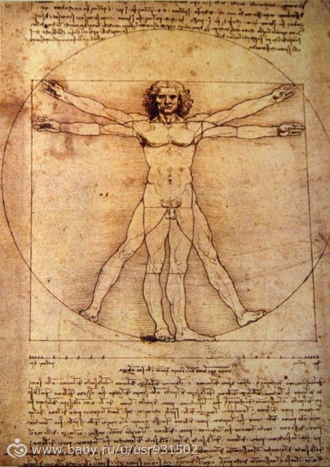 Считается первым верным анатомическим рисунком человека