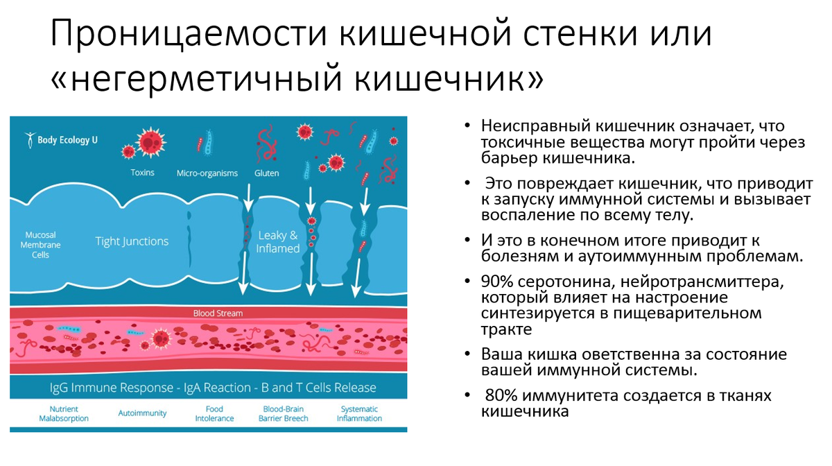 Проницаемость кишечной стенки