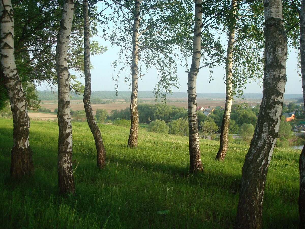 Такие наши места. Фото автор