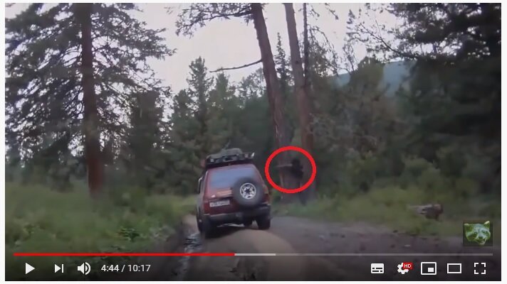 Взято на Youtube-канале "ЕнотикProduction" 