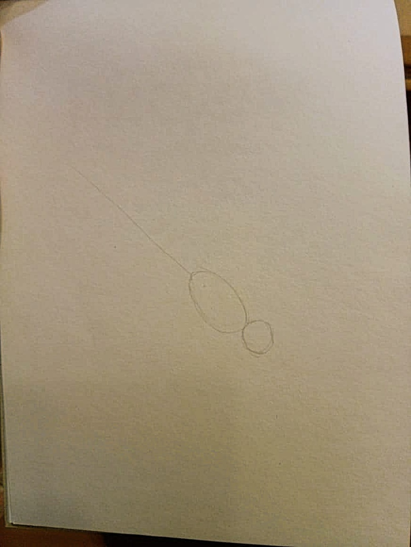 начальные контуры стрекозы