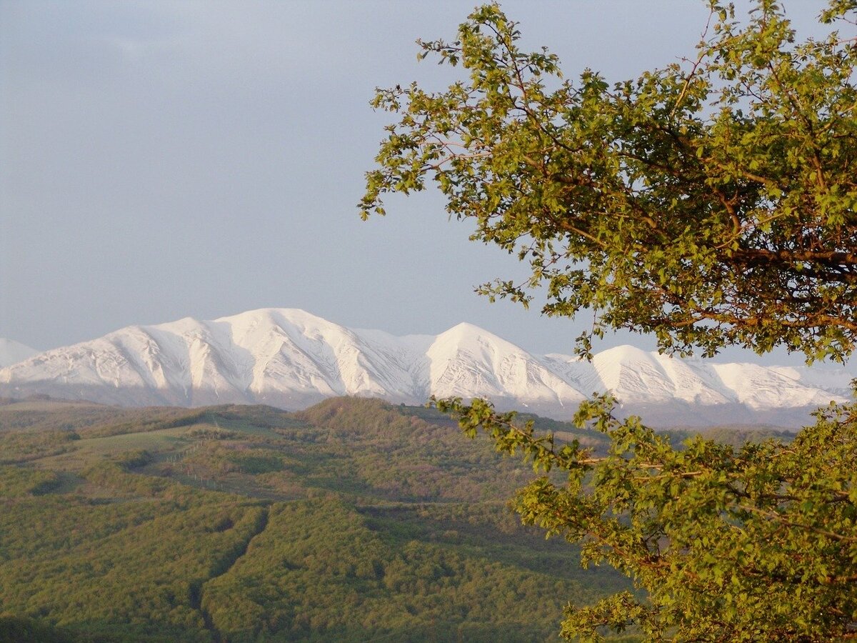 Фото с сайта Pixabay 