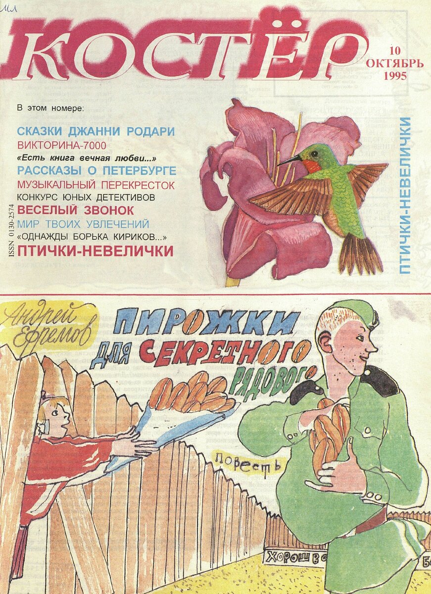 Костер журнал презентация