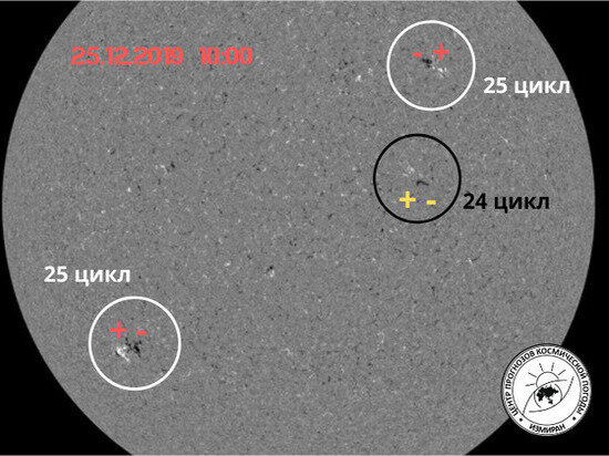 Снимок солнечных магнитных полей из Обсерватории солнечной динамики NASA, показано местоположение активных областей и полярность.