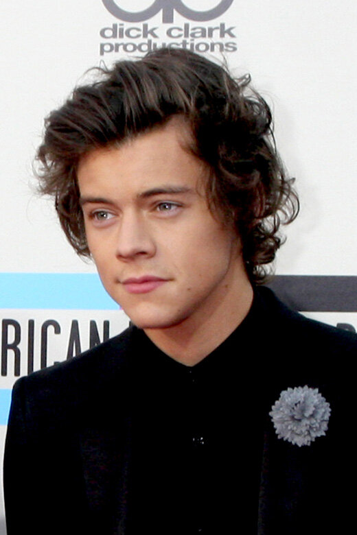 Гарри Стайлс (Harry Styles) / © Helga Esteb / Shutterstock.com