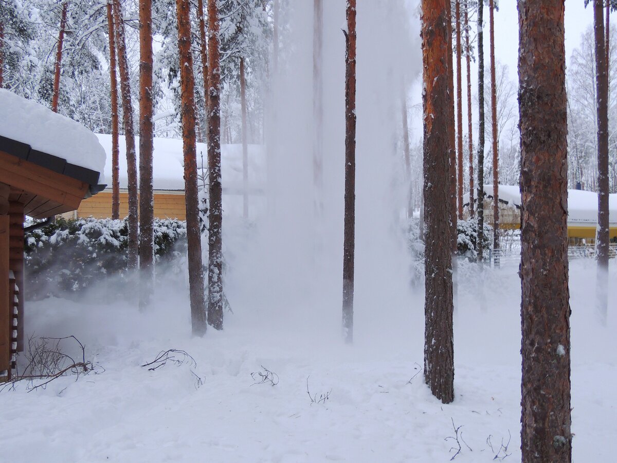 Чем и как мы стряхивали снег с обледеневших деревьев