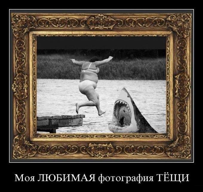 Взято vk.com 