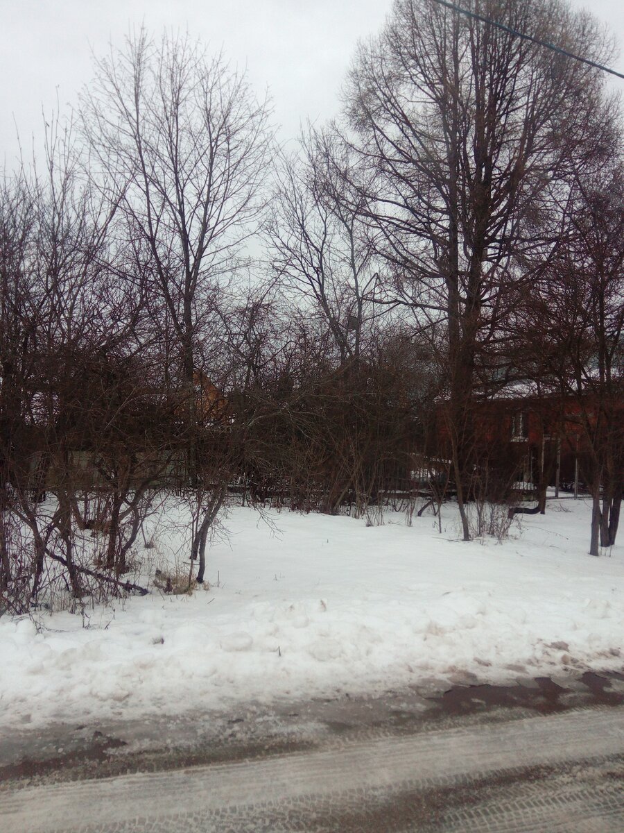 Маленький домик за кустарником.