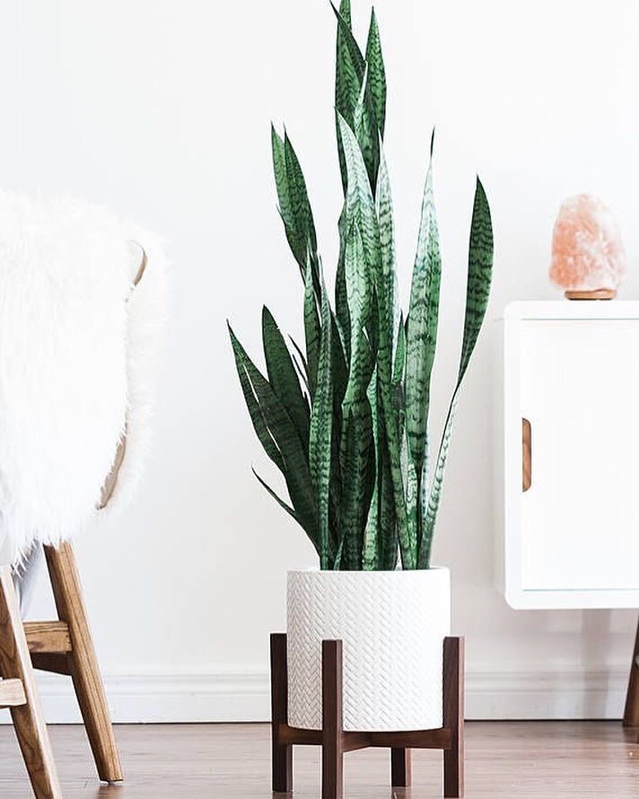 instagram.com/shopleafph_
