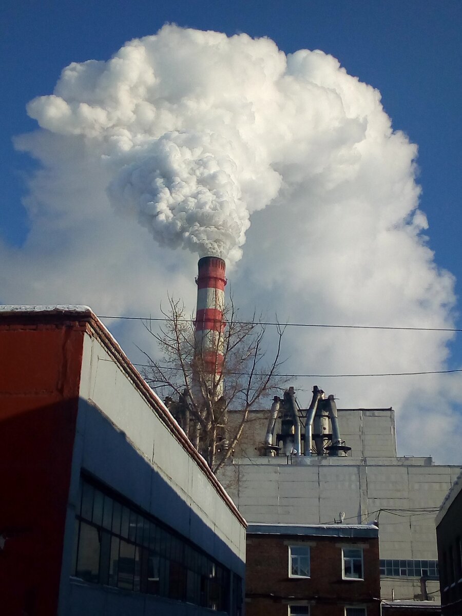 Фото из личного архива