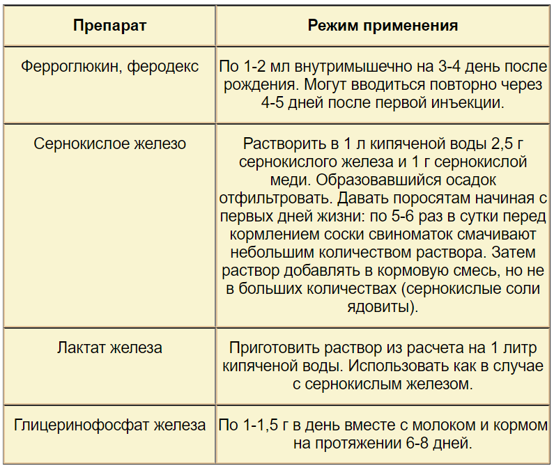 Диарея у поросят: чем лечить?