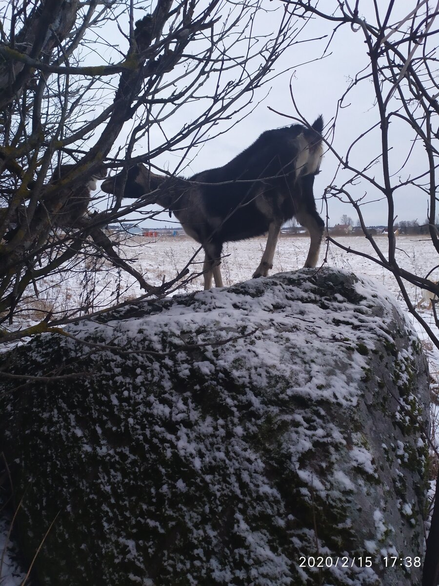 Бронислава на прогулке